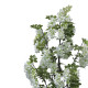 Διακοσμητικό φυτό Bean flowers σε γλάστρα Inart λευκό pp Υ125εκ **
