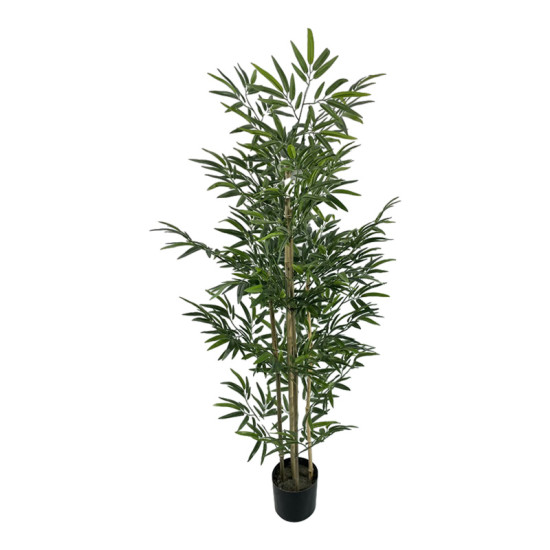 Διακοσμητικό φυτό Bamboo σε γλάστρα Inart πράσινο pp Υ150εκ **