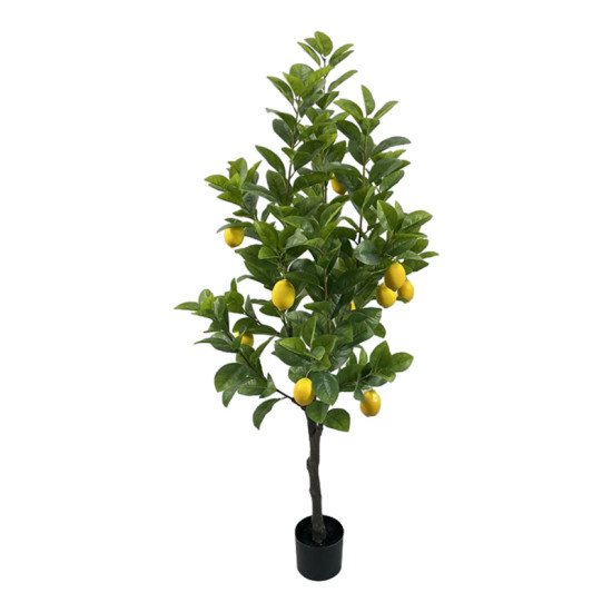 Διακοσμητικό φυτό Lemon tree σε γλάστρα Inart πράσινο pp Υ150εκ **