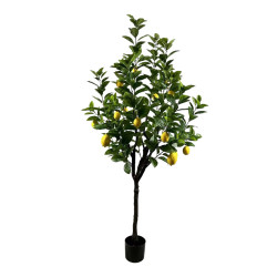 Διακοσμητικό φυτό Lemon tree σε γλάστρα Inart πράσινο pp Υ180εκ ** Διακοσμητικό φυτό Lemon tree σε γλάστρα Inart πράσινο pp Υ180εκ **