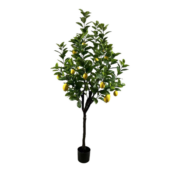 Διακοσμητικό φυτό Lemon tree σε γλάστρα Inart πράσινο pp Υ180εκ **