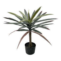 Διακοσμητικό φυτό Dracaena palm σε γλάστρα Inart πράσινο pp Υ62εκ ** Διακοσμητικό φυτό Dracaena palm σε γλάστρα Inart πράσινο pp Υ62εκ **