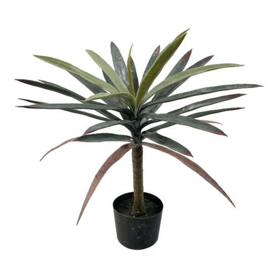Διακοσμητικό φυτό Dracaena palm σε γλάστρα Inart πράσινο pp Υ62εκ **
