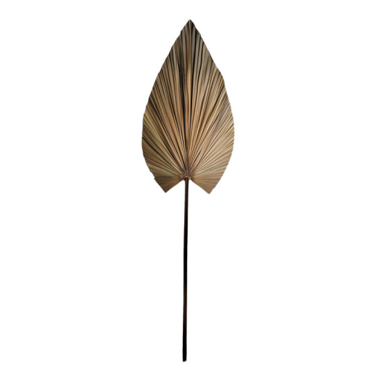 Διακοσμητικό φύλλο Leafen φυσικό palm leaf 150 εκ **