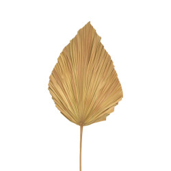 Διακοσμητικό φύλλο Walsy Inart palm leaf σε φυσική απόχρωση Υ135 εκ ** Διακοσμητικό φύλλο Walsy Inart palm leaf σε φυσική απόχρωση Υ135 εκ **