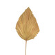Διακοσμητικό φύλλο Walsy Inart palm leaf σε φυσική απόχρωση Υ135 εκ **