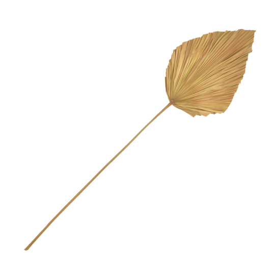 Διακοσμητικό φύλλο Walsy Inart palm leaf σε φυσική απόχρωση Υ135 εκ **