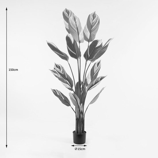 Διακοσμητικό φυτό σε γλάστρα Aglaonema Inart πράσινο Φ80x150εκ ** Διακοσμητικό φυτό σε γλάστρα Aglaonema Inart πράσινο Φ80x150εκ **