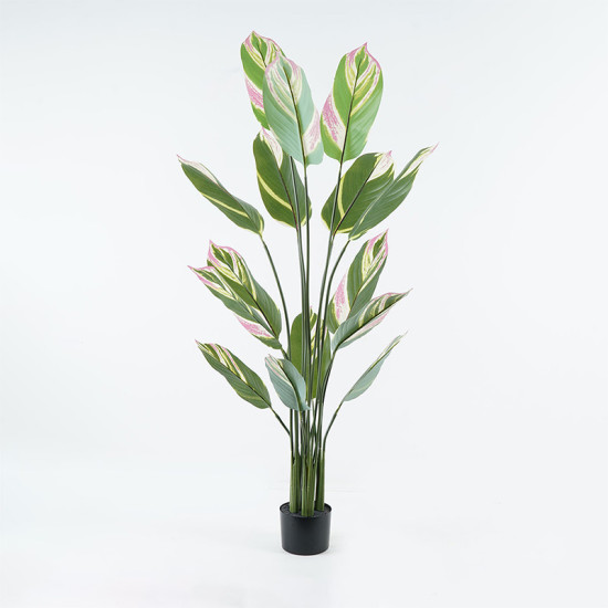 Διακοσμητικό φυτό σε γλάστρα Aglaonema Inart πράσινο Φ80x150εκ ** Διακοσμητικό φυτό σε γλάστρα Aglaonema Inart πράσινο Φ80x150εκ **