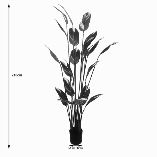 Διακοσμητικό φυτό σε γλάστρα Lucky I Inart πράσινο Φ80x210εκ ** Διακοσμητικό φυτό σε γλάστρα Lucky I Inart πράσινο Φ80x210εκ **