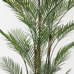 Διακοσμητικό φυτό σε γλάστρα Kwai Inart πράσινο Φ125x180εκ ** Διακοσμητικό φυτό σε γλάστρα Kwai Inart πράσινο Φ125x180εκ **