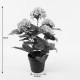 Διακοσμητικό φυτό σε γλάστρα Hydrangea Inart ροζ Φ35x50εκ ** Διακοσμητικό φυτό σε γλάστρα Hydrangea Inart ροζ Φ35x50εκ **
