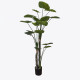 Διακοσμητικό φυτό σε γλάστρα Taro Plant Inart πράσινο Φ90x180εκ ** Διακοσμητικό φυτό σε γλάστρα Taro Plant Inart πράσινο Φ90x180εκ **