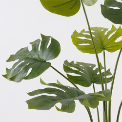 Διακοσμητικό φυτό σε γλάστρα Deliciosa Inart πράσινο Φ94x120εκ ** Διακοσμητικό φυτό σε γλάστρα Deliciosa Inart πράσινο Φ94x120εκ **