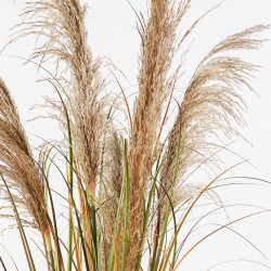 Διακοσμητικό φυτό σε γλάστρα Bulrush Inart Φ65x120εκ ** Διακοσμητικό φυτό σε γλάστρα Bulrush Inart Φ65x120εκ **