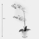 Διακοσμητικό φυτό σε γλάστρα Οrchid White Inart 36x17x65εκ ** Διακοσμητικό φυτό σε γλάστρα Οrchid White Inart 36x17x65εκ **