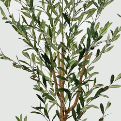 Διακοσμητικό φυτό σε γλάστρα Olia Inart πράσινο 65x55x180εκ ** Διακοσμητικό φυτό σε γλάστρα Olia Inart πράσινο 65x55x180εκ **