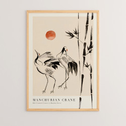 Πίνακας Birdo με ψηφιακή εκτύπωση και πλαίσιο 33x1.5x48εκ ** Πίνακας Birdo με ψηφιακή εκτύπωση και πλαίσιο 33x1.5x48εκ **