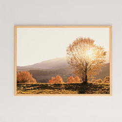 Πίνακας Vila με ψηφιακή εκτύπωση και πλαίσιο 48x1.5x33εκ ** Πίνακας Vila με ψηφιακή εκτύπωση και πλαίσιο 48x1.5x33εκ **