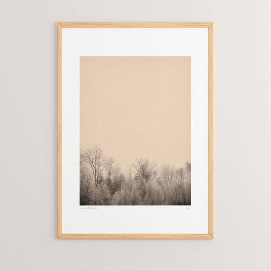 Πίνακας Quany με ψηφιακή εκτύπωση και πλαίσιο 33x1.5x48εκ **